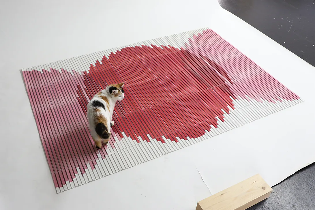 Image du projet Diffract Rugs